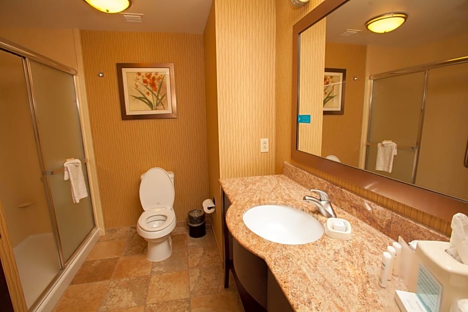Hampton Inn Elmira/Horseheads