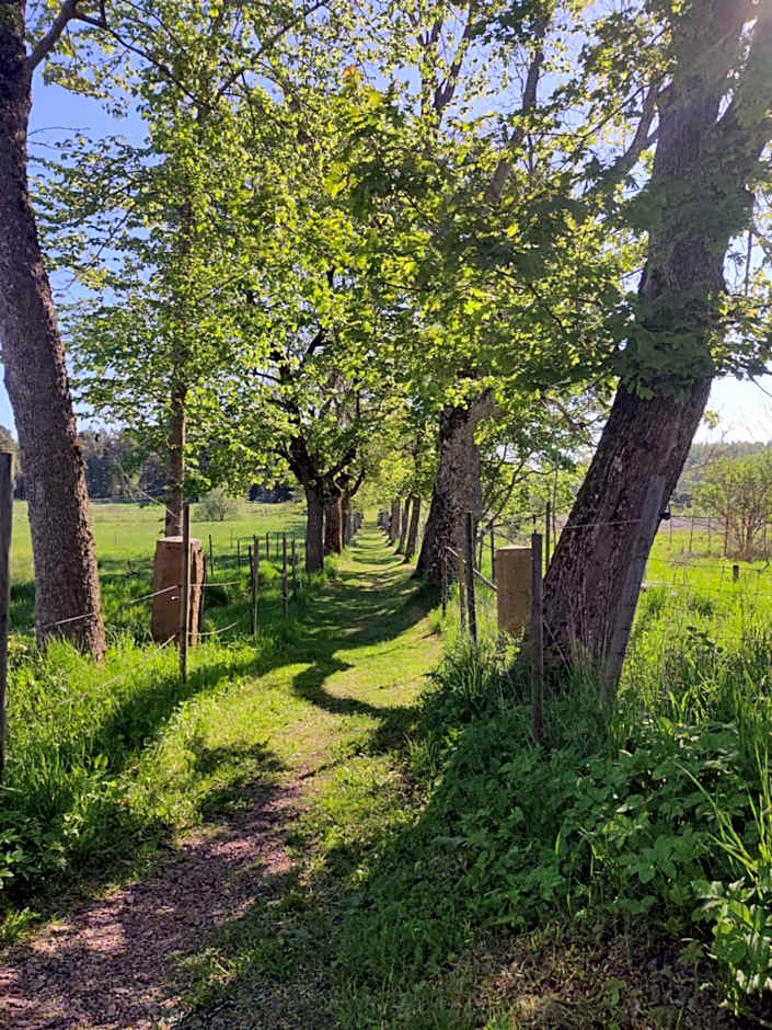 Gästhem Jomala Gård