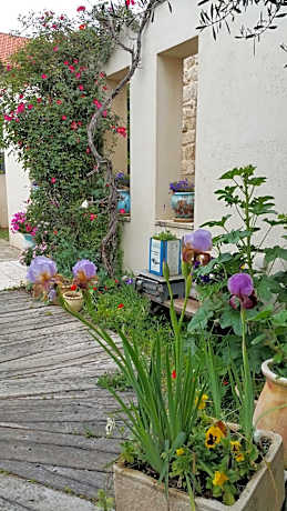 The House of Taly & Erez