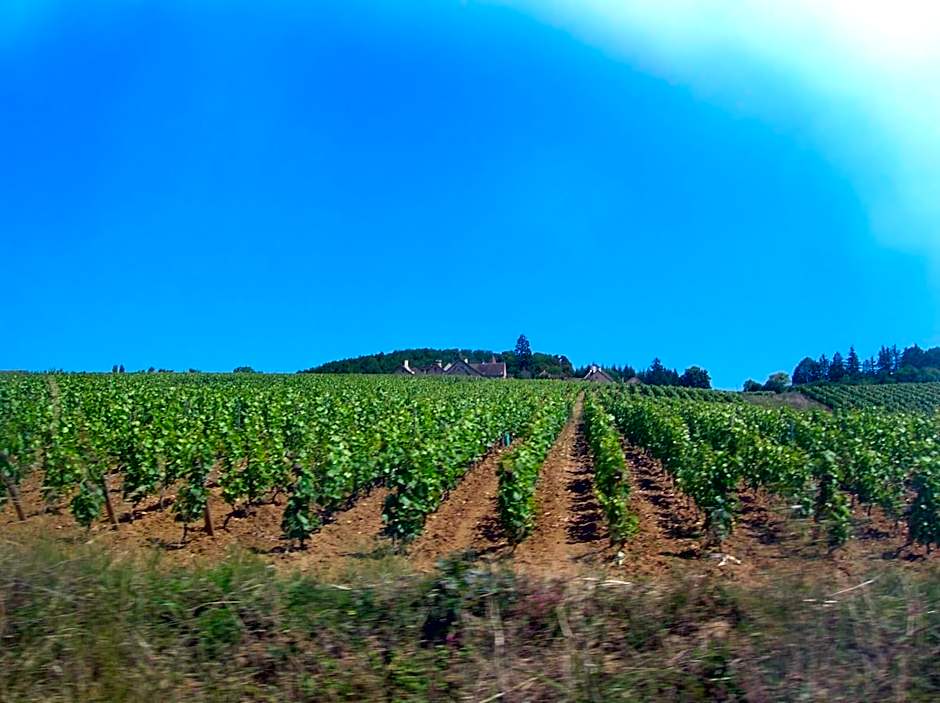 B B Au Pain Quotidien
