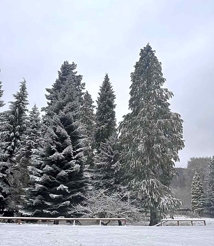 Kinnaird Woodland Lodges