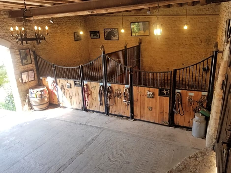 Chenonceau Amboise équitation beauval