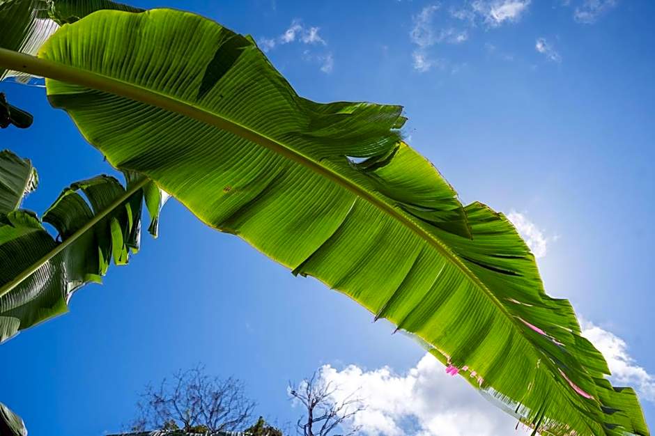 La Residence Villas & Studios