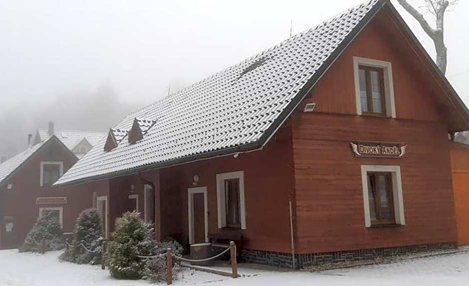 Apartmány Divoký Anděl