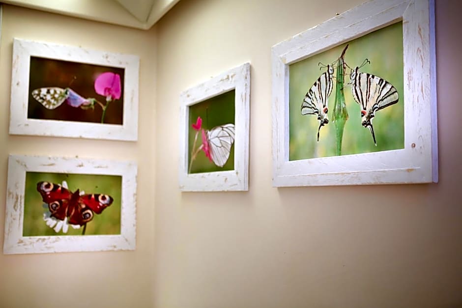 Art Hotel Museo