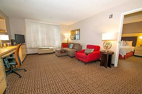 Suite, 1 Bedroom (1 Queen Bed and 1 Double Sofa Bed)