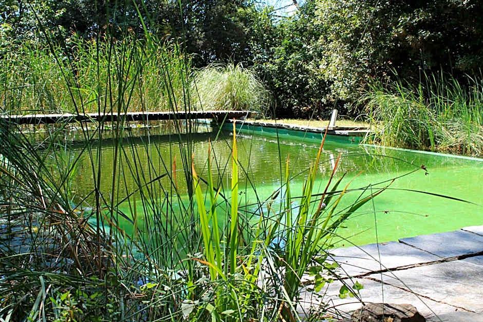 Il Poggio B&B