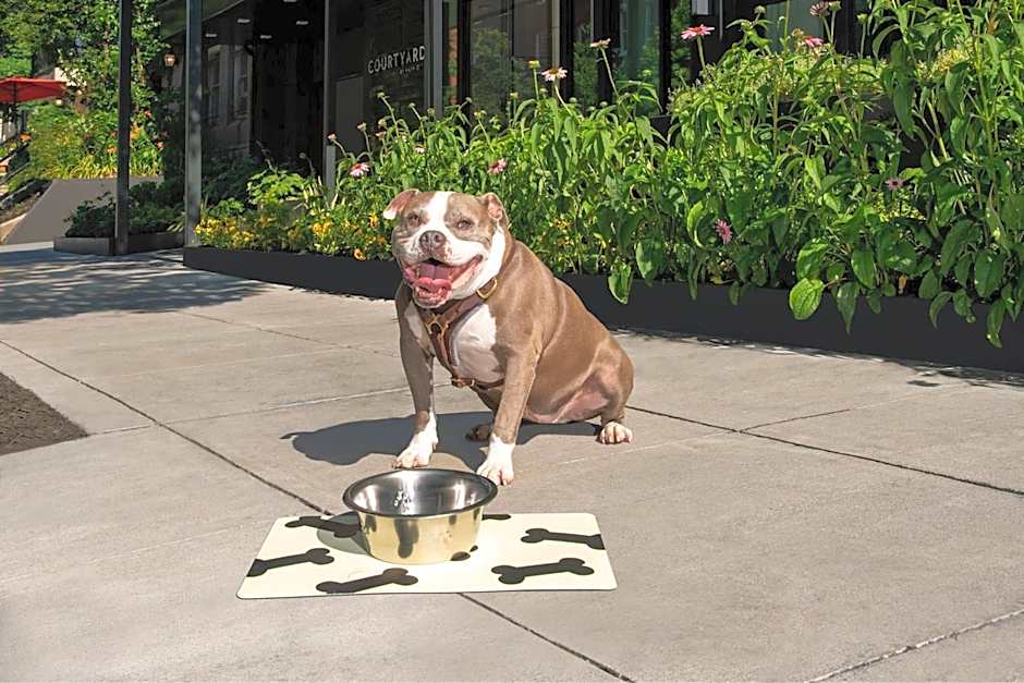 Courtyard by Marriott Washington, DC Dupont Circle