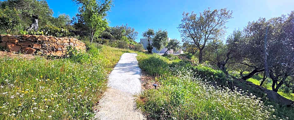 Las estrellas del duende