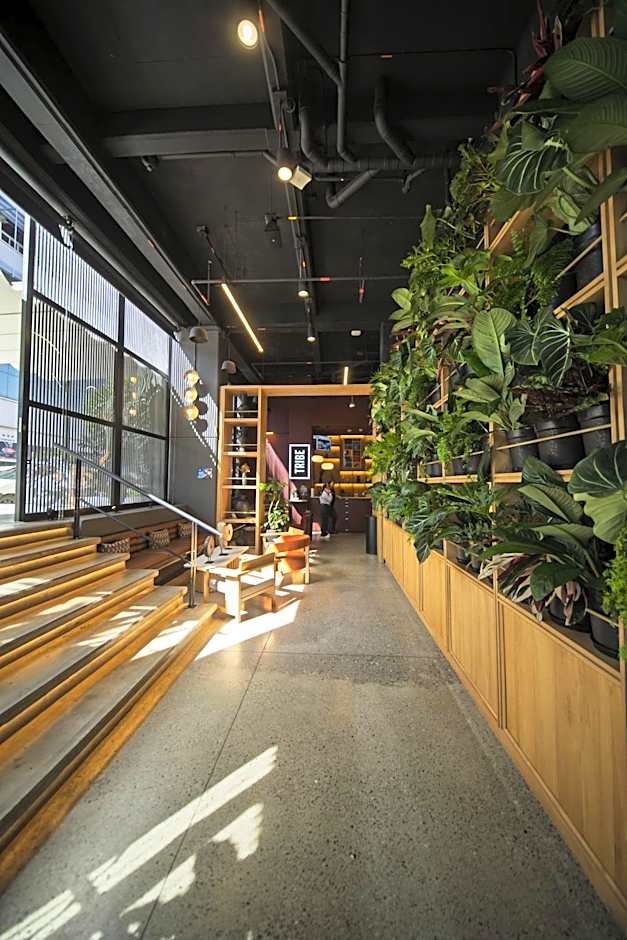 Tribe Medellin