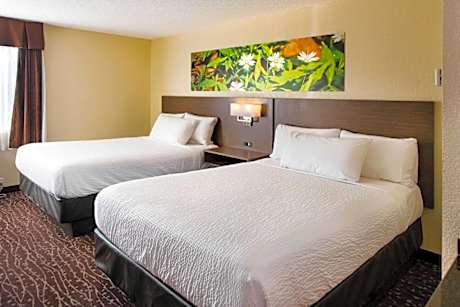 2 Queen Beds Pet-Friendly Non-Smoking