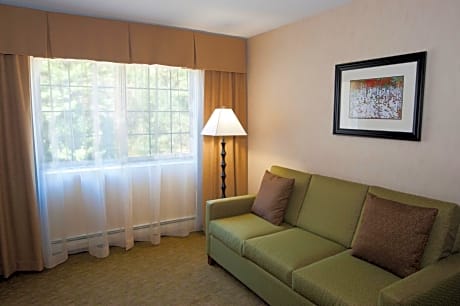 1 King Suite Addl Living Area Jetted Tub