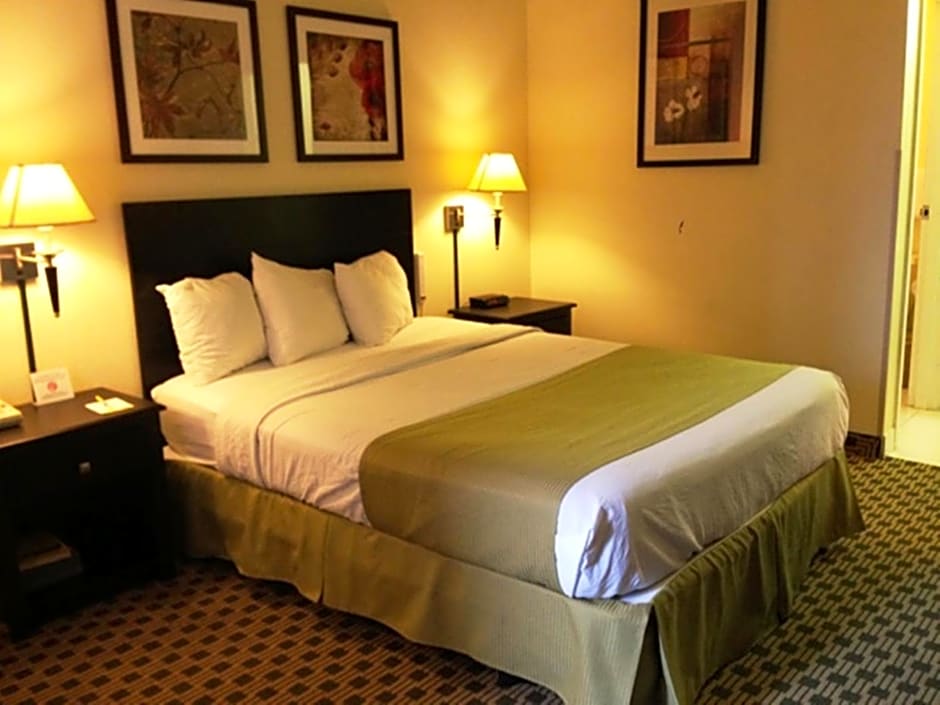 Days Inn by Wyndham Irving Grapevine DFW Airport North