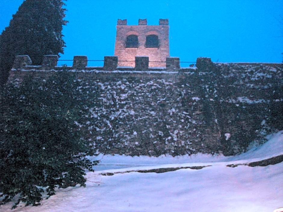 The Tower Of The Old King
