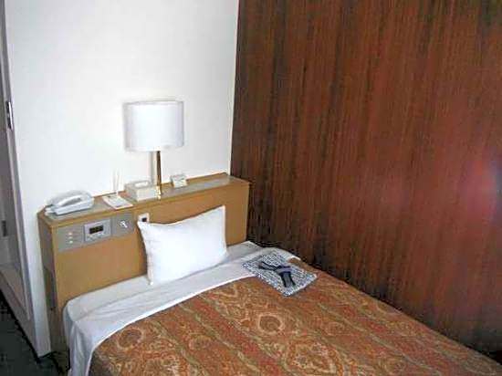 Central Hotel Toride