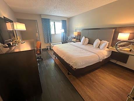 One-Bedroom King Suite, Non-Smoking