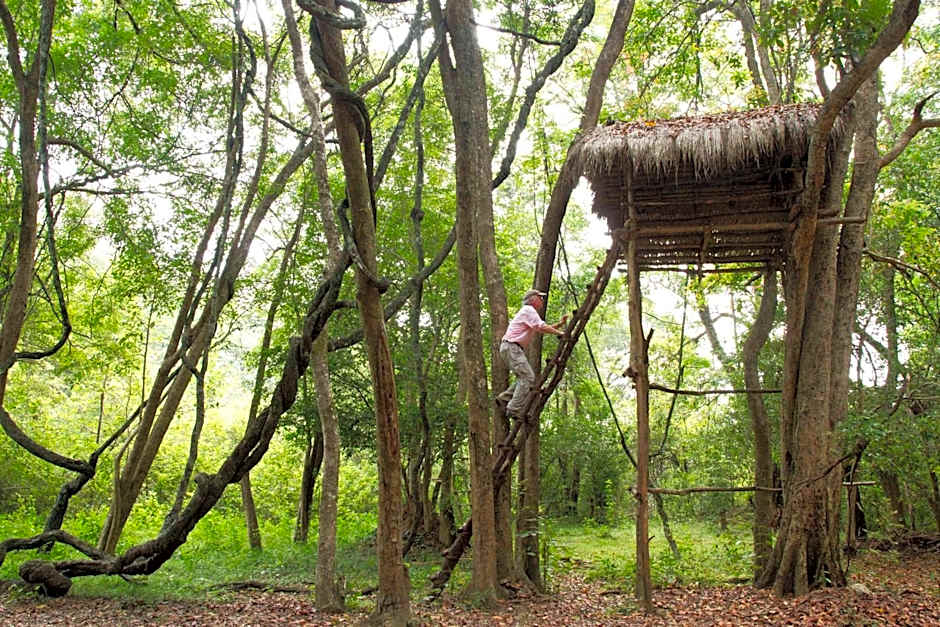 Explorer by Eco Team - Dambana