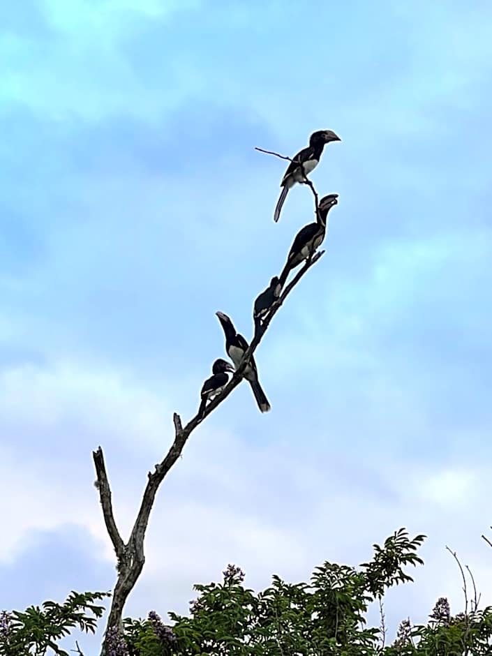 Whalesong Guest House