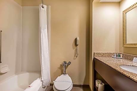 King Suite with Sofa Bed