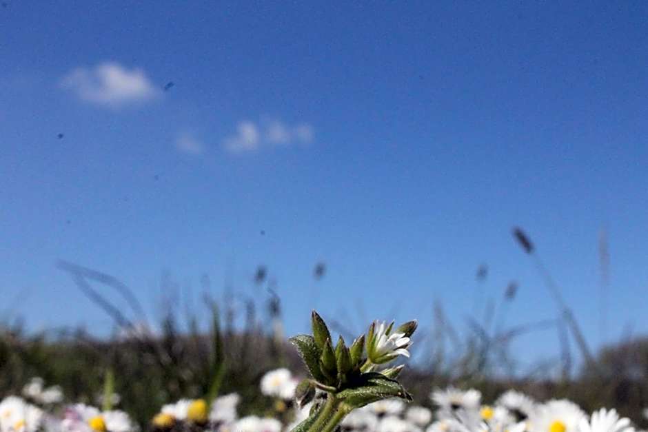 Brynhaul Bed and Breakfast