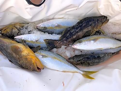 The Black Bass Lodge