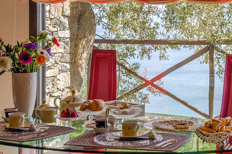 Villa Degli Ulivi B&B