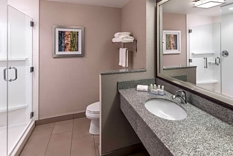 Suite, 1 King Bed with Sofa bed (1 King Bed and 1 Double Sofa Bed)