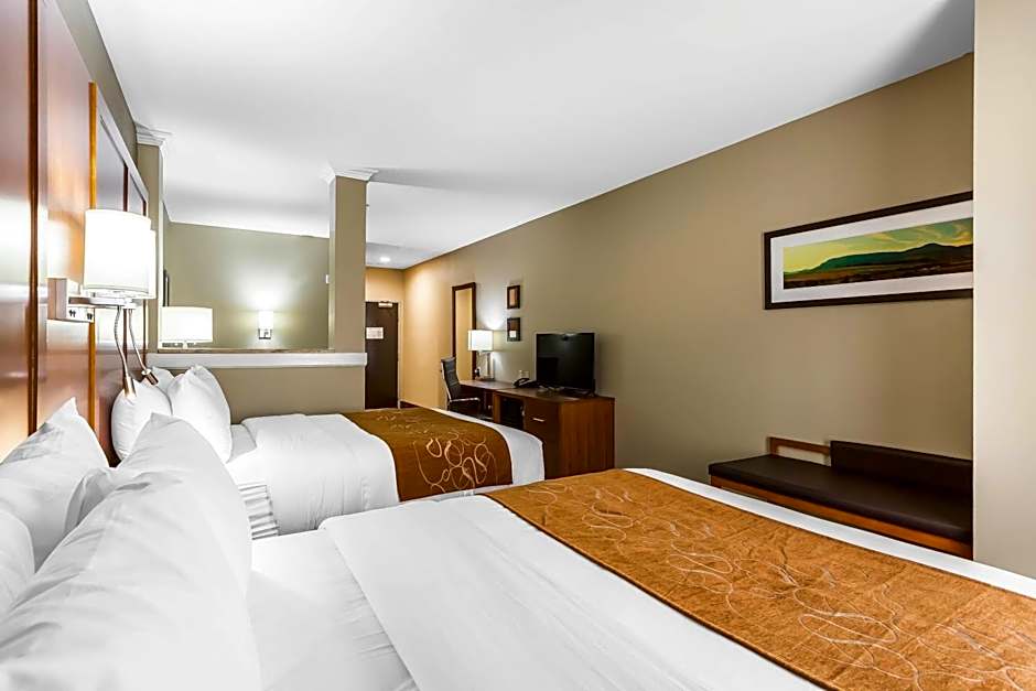 Comfort Suites University