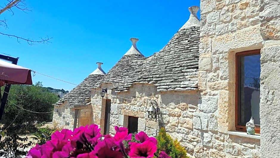 B&B La Rosa dei Trulli Alberobello