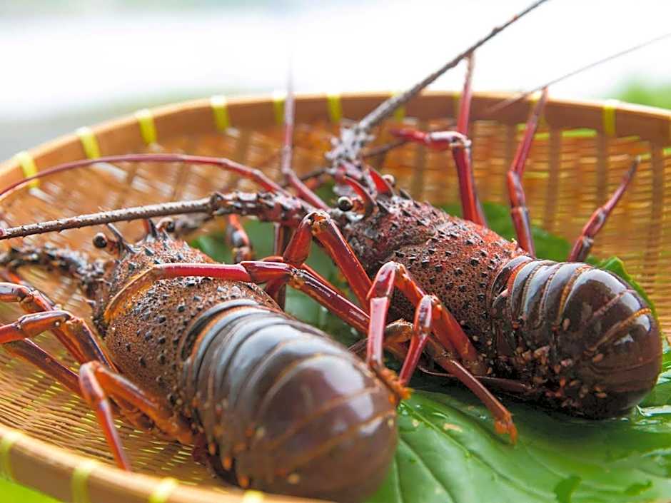 Iseebiso - Vacation STAY 69481v