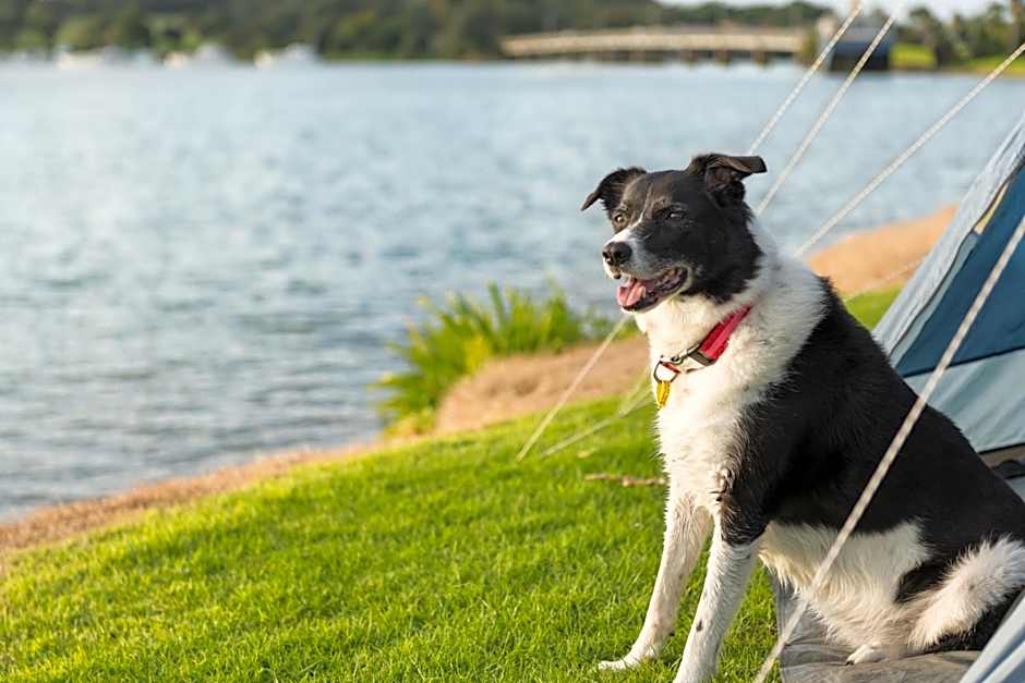 Waitangi Holiday Park