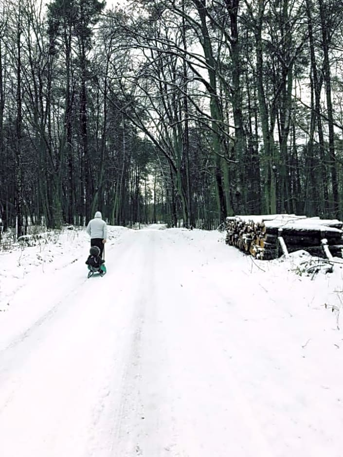 Pokoje Cztery Pory Roku