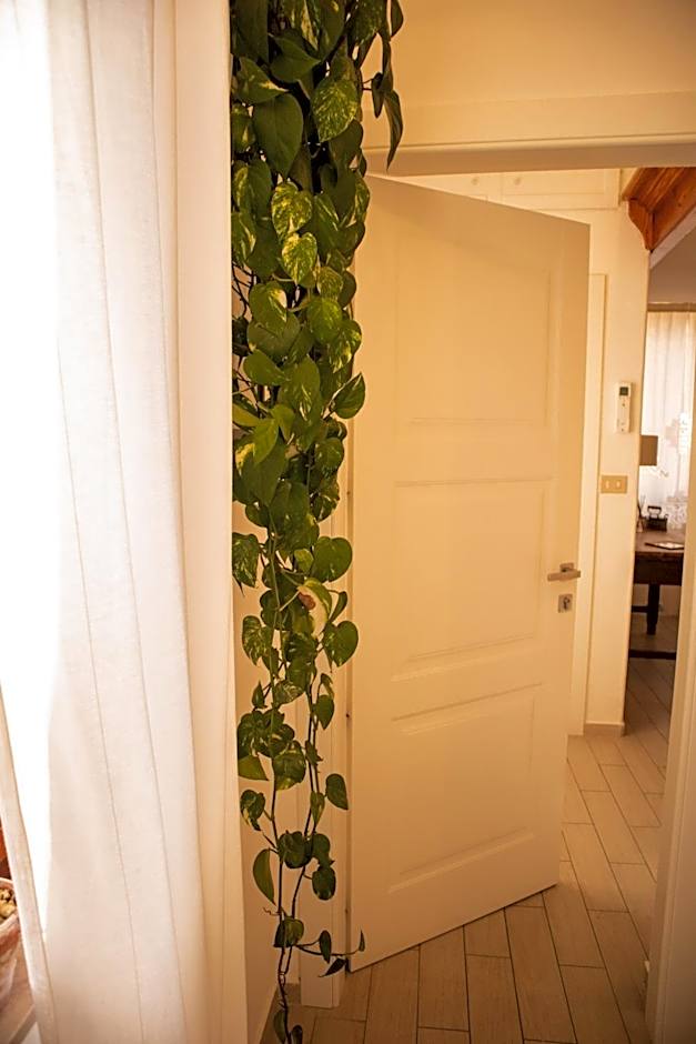 Panorama Guest House