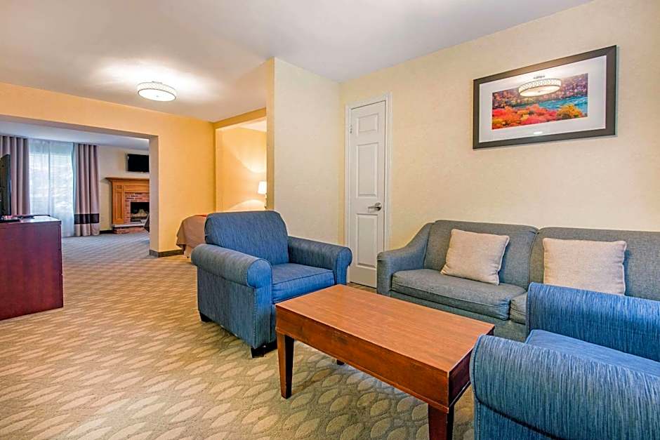 Comfort Inn Fallsview