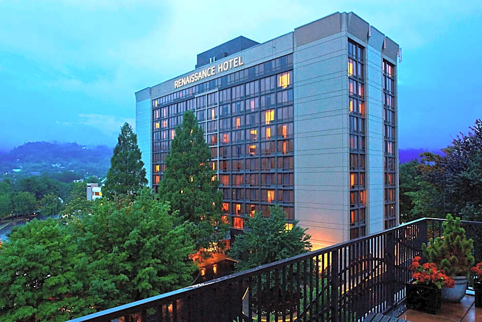 Renaissance Asheville Downtown Hotel