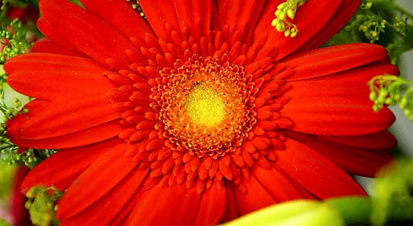 Hotel Rasah Seremban