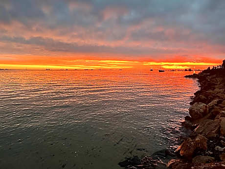 Shark Bay Seafront Apartments