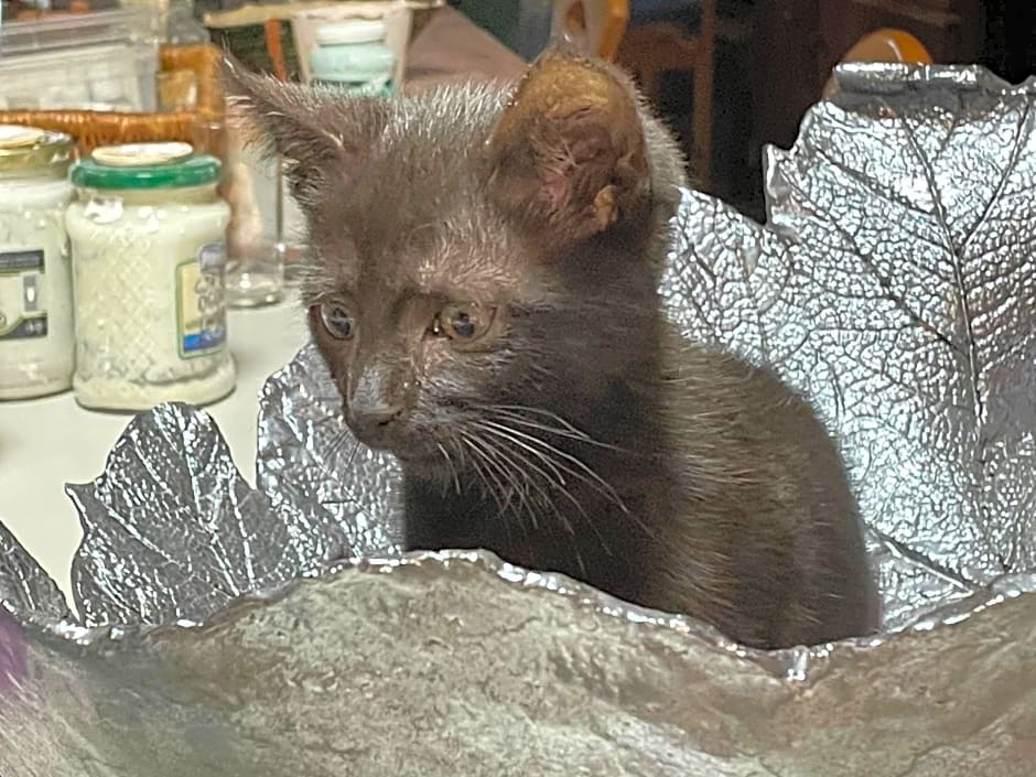 Agroturystyka Hanka i Jurek