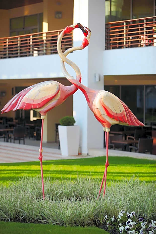 Flamingo Grand Hotel & Spa