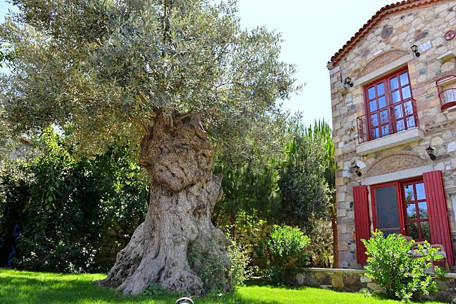Alacati Zeytin Konak Hotel