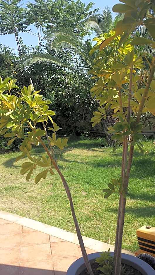 Bed And Breakfast Perla Del Sole