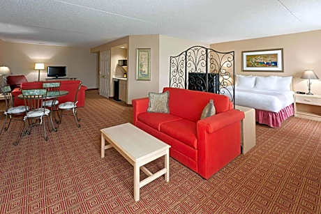 1 King Bed, Deluxe Family Studio Suite, Non-Smoking