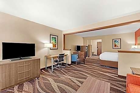 Suite-1 King Bed Non-Smoking Sofabed Microwave And Refrigerator Wi-Fi Full Breakfast
