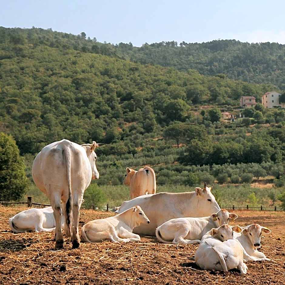 Il Borro Relais & Châteaux