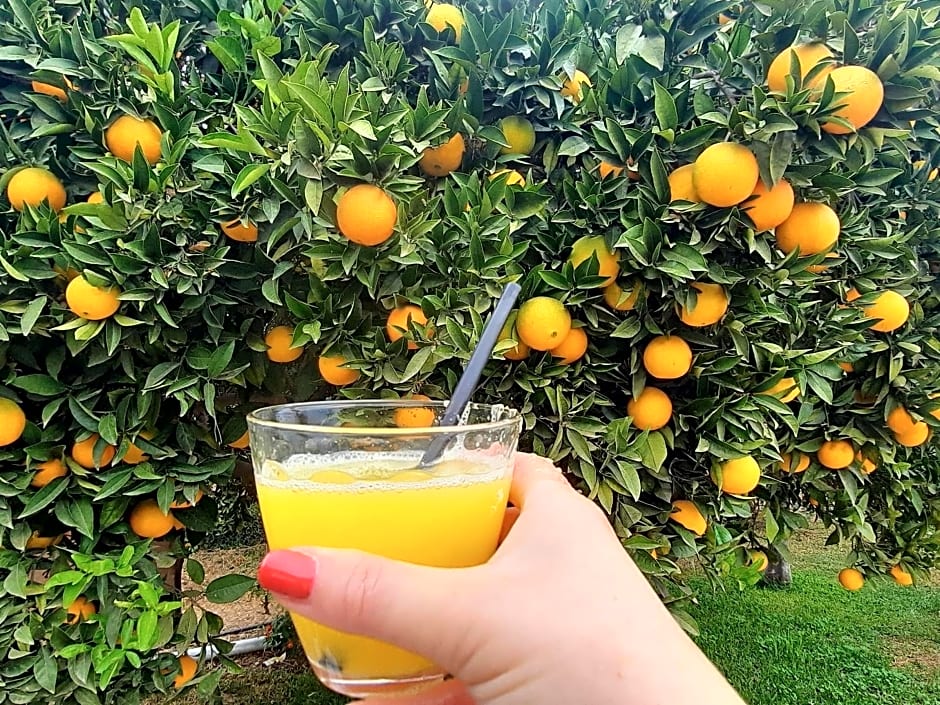 Finca Sueño de Vida