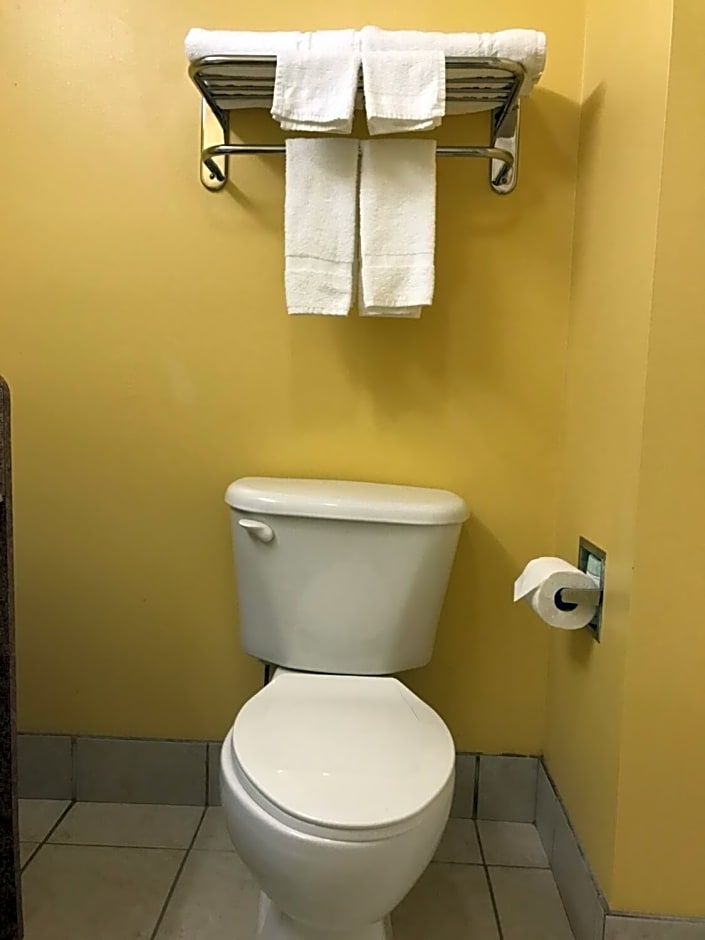 Mountain Inn & Suites Dunlap