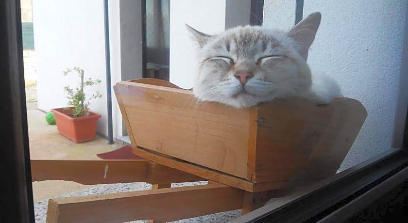 Alma Bed & Breakfast