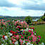 Bay Water Views Bed & Breakfast