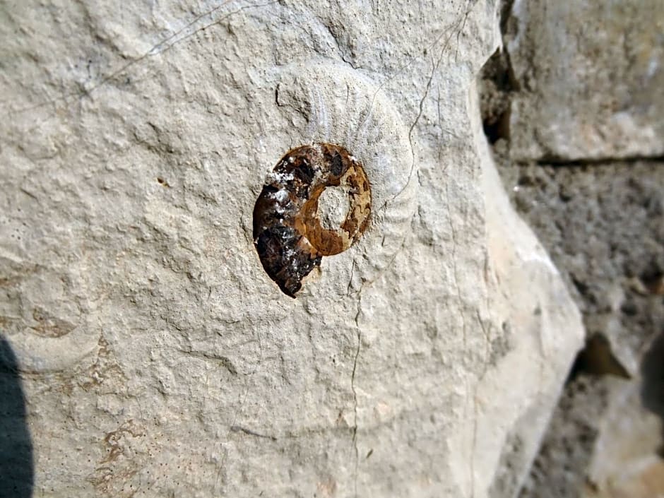 B&B Bergamo e Brescia