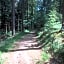 Natur & Wander Hotel Gassbachtal